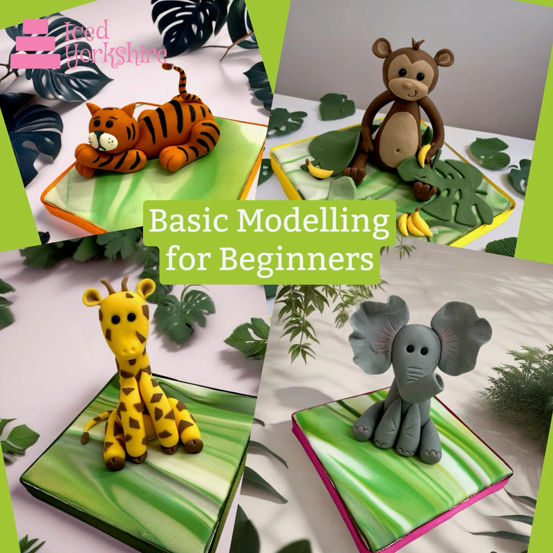 Modelling for Beginners workshops.